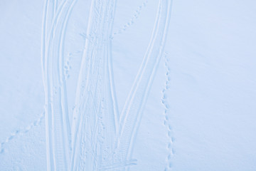  Footprints from a snowmobile in the snow. Footprints from skis in the snow. Footprints in fresh snow in