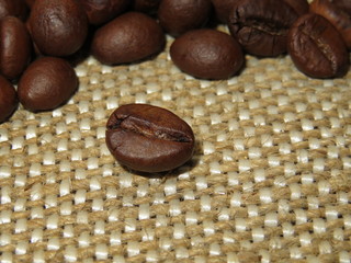 Coffee bean on burlap closeup