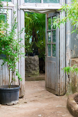 Opened vintage wooden door to  green garden