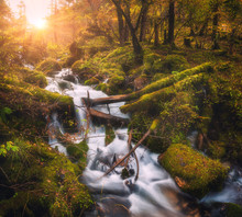 Colorful Green Forest With Little Waterfall At Mountain River At Sunset In Autumn. Landscape With Stones Covered Green Moss In Water, Trees, Waterfall And Vibrant Foliage. Nature. Blurred Water