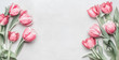 Fresh pink tulips banner with copy space. Layout for spring holidays greeting card 