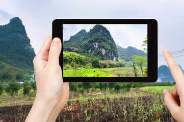 Poster - tourist photographs gardens near karst mountains