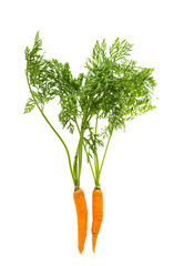 Sticker - carrots with leaves isolated