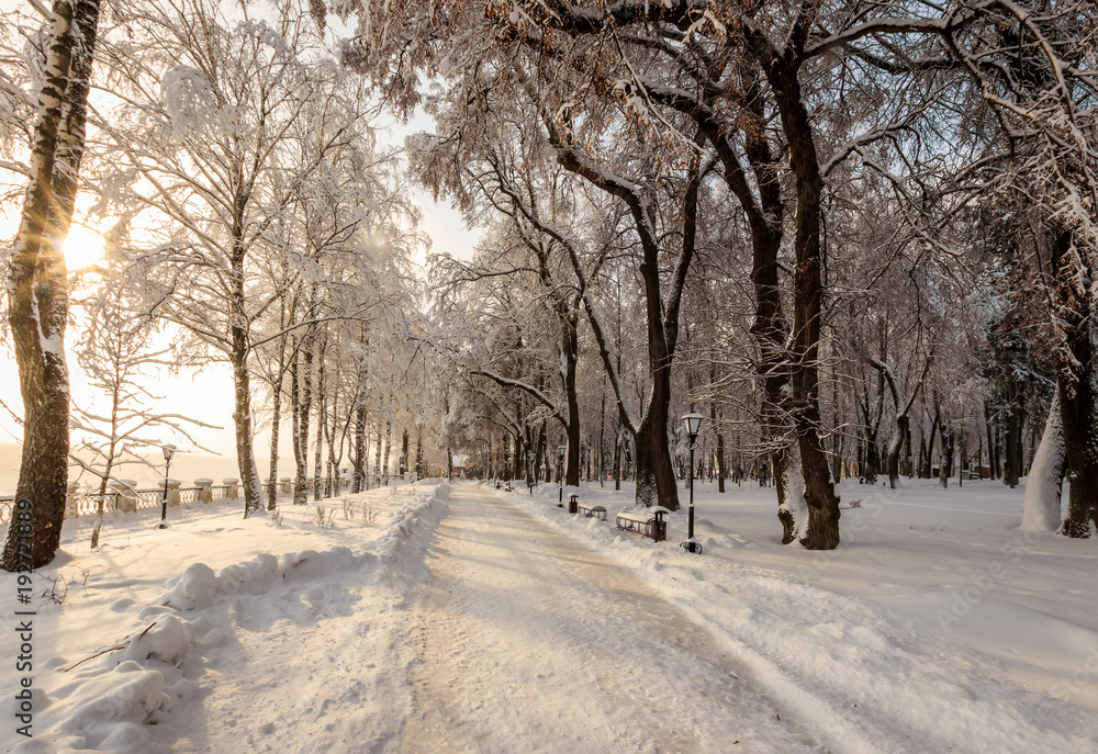 Sunset in winter park with trees covered with snow. - obrazy, fototapety, plakaty 