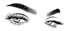Illustration Of Woman's Sexy Luxurious Eye With Perfectly Shaped Eyebrows And Full Lashes. Hand-drawn Idea For Business Visit Card, Typography Vector. Perfect Salon Look.