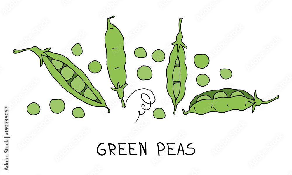 green peas - obrazy, fototapety, plakaty 