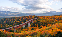 A Autumn Forest In Hokkaido , Japan With A High Way Through The Forest At Mikuni Pass