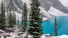 Autumn Snow At Lake Moraine In Banff National Park