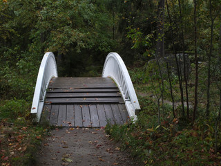 The white arc wooden bridge in the dark autumn forest in the rainy day.