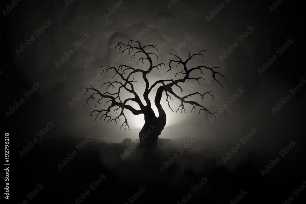 Silhouette of scary Halloween tree on dark foggy toned background with ...