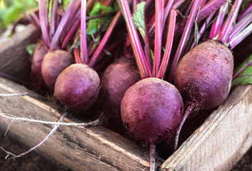 Wall Mural - Fresh harvested beetroots in wooden crate, pile of homegrown organic beets with leaves on soil background