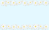 Fototapeta Zwierzęta - 
Vector illustration. Daisies (flowers) on a green background. Spring background. 