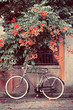 bicycle with red flowers in the background, a bike leans against the wall picture vintage effect
