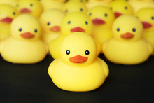 Closeup Of Rubber Duckies
