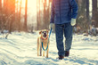 © vvvita - Man with dog on a leash walking on snowy pine forest in winter