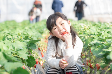 Wall Mural - 笑顔でいちごを食べる女の子