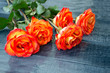beautiful roses on a wooden background