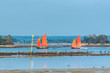 © Pascale Gueret - Old boat with beautiful bright sails, sinagot, traditional boat in the golfe du Morbihan, in Brittany