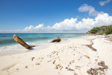 Wall Mural - soft waves of turquoise water and white sand