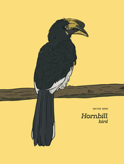 Wall Mural - Oriental Pied Hornbill, hand draw sketch vector.