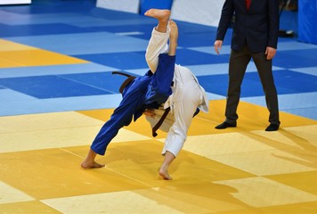 Wall Mural - Girls compete in Judo