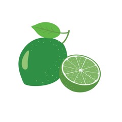 Wall Mural - Lime Fruit Vector illustration