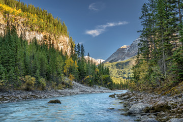 Wall Mural - Yoho River looking  to Cathedral Crags in Yoho National Park