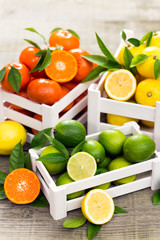 Wall Mural - Fresh citrus fruits - lime, lemon and tangerine in the crate