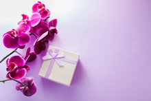 A Gift Box With Orchid On Purple Background