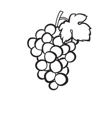 Poster - Cluster of grapes with leaf sketch icon for web, mobile and infographics. Hand drawn Cluster of grapes vector icon isolated on white background.