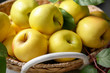Basket with ripe yellow apples, closeup
