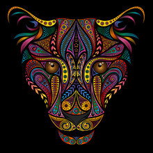 Color Leopard From Beautiful Various Patterns