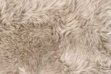 natural sheepskin rug background texture sheep fur