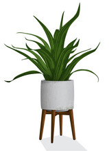 Artistic Rendering Of A Spiky Houseplant In A Contemporary Concrete Planter Isolated With Wooden Plant Stand. 
