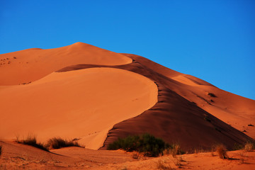 Wall Mural - Sand desert