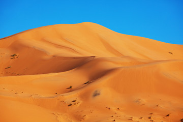  Sand desert