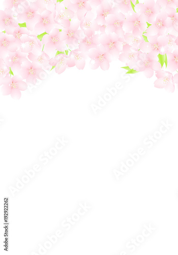 サクラの花のアーチ キラキラ イラスト Adobe Stock でこのストックイラストを購入して 類似のイラストをさらに検索 Adobe Stock