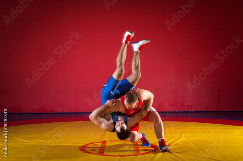 Fototapety Zapasy  dwoch-silnych-zapasnikow-w-niebieskich-i-czerwonych-rajstopach-zapasniczych-zmaga-sie-i-robi-suplex-wrestling