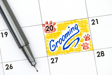 Reminder Grooming In Calendar With Pen.