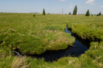 Poster - Fagnes Belgique Wallonie eau vert environnement