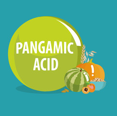 Wall Mural - Vitamin B15 (Pangamic acid).