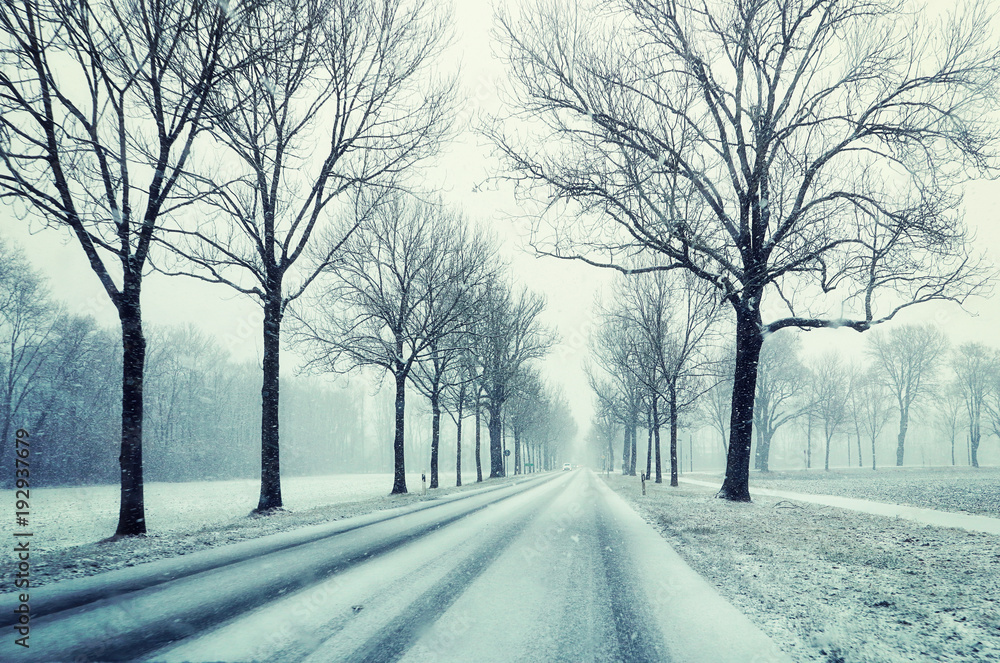 Bavaria, winter view of rural road under snowfall - obrazy, fototapety, plakaty 