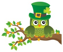 St Patricks Day Theme With Owl Image 2