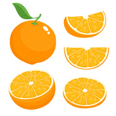 bright vector set of colorful juicy orange.