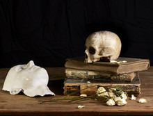 Classical Baroque Still-life In Vantias Style With Skull And Death-Mask On A Black Background