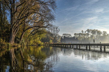 One person jogging on a wooden walkway through a lake in a parklike forest in Rotterdam, The Netherlands