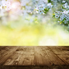 Cherry blossoms in garden with wooden table