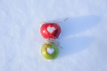 apple on the snow