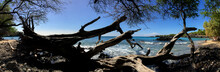 Silhouette Of A Woman Through The Driftwood At A Beach On The Big Island Of Hawaii