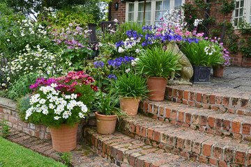 Wall Mural - A country house terrace with colourful planting of cosmos and mixed planting